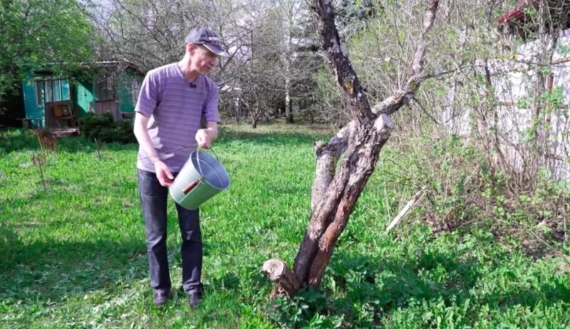 Розовый деревянный дом и туалет на улице: как выглядит дача Сергея Соседова в Подмосковье