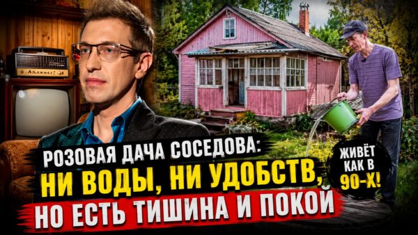 Розовый деревянный дом и туалет на улице: как выглядит дача Сергея Соседова в Подмосковье