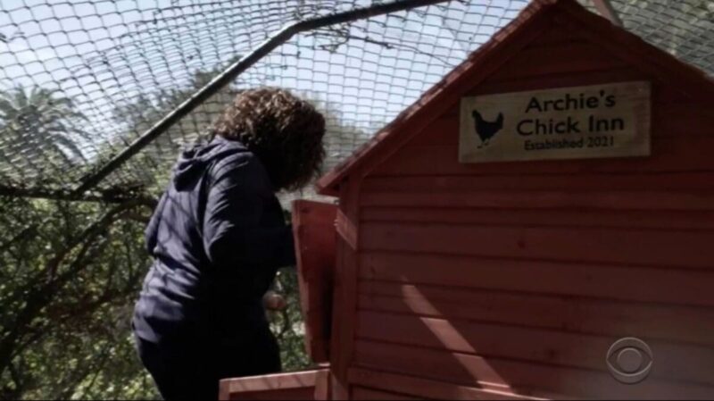 Птичник Archie's Chick Inn на участке