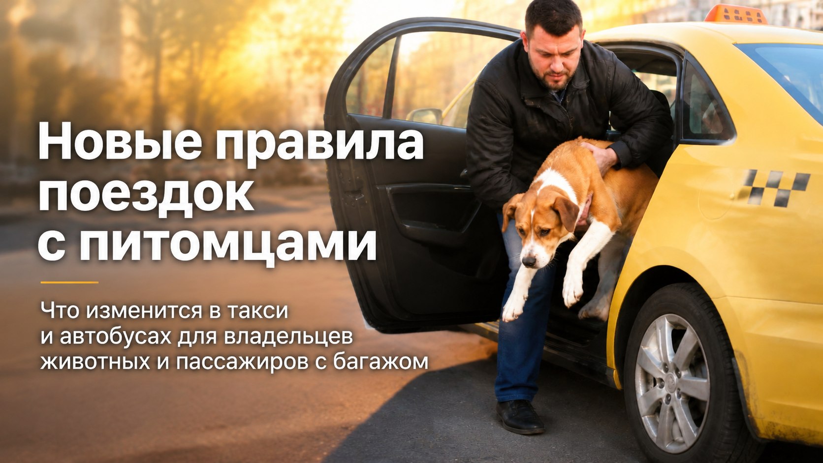 Без намордника, подстилки и резких запахов: как Минтранс изменит правила поездок в такси и автобусах