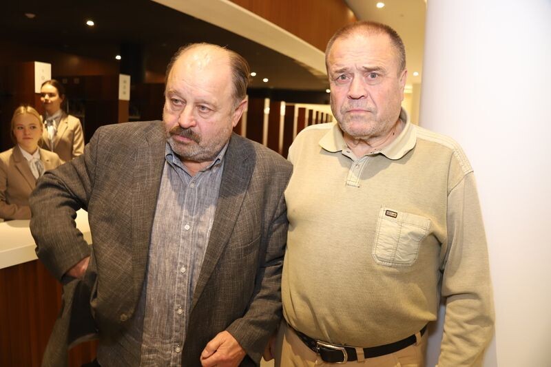Александр и Владимир Ильины