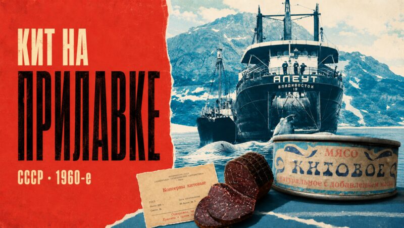 11 продуктов из СССР, которые исчезли вместе с эпохой: от пасты «Океан» до «Солнцедара»