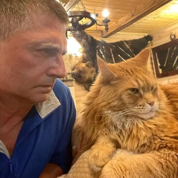 Сруб шесть на шесть и почти гектар: как Александр Мясников обустроил дом за городом