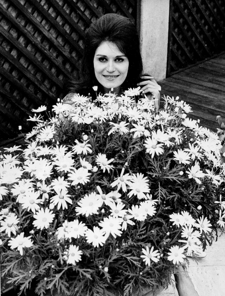 Все трое любимых мужчин Далиды ушли из жизни добровольно — а она винила в этом себя