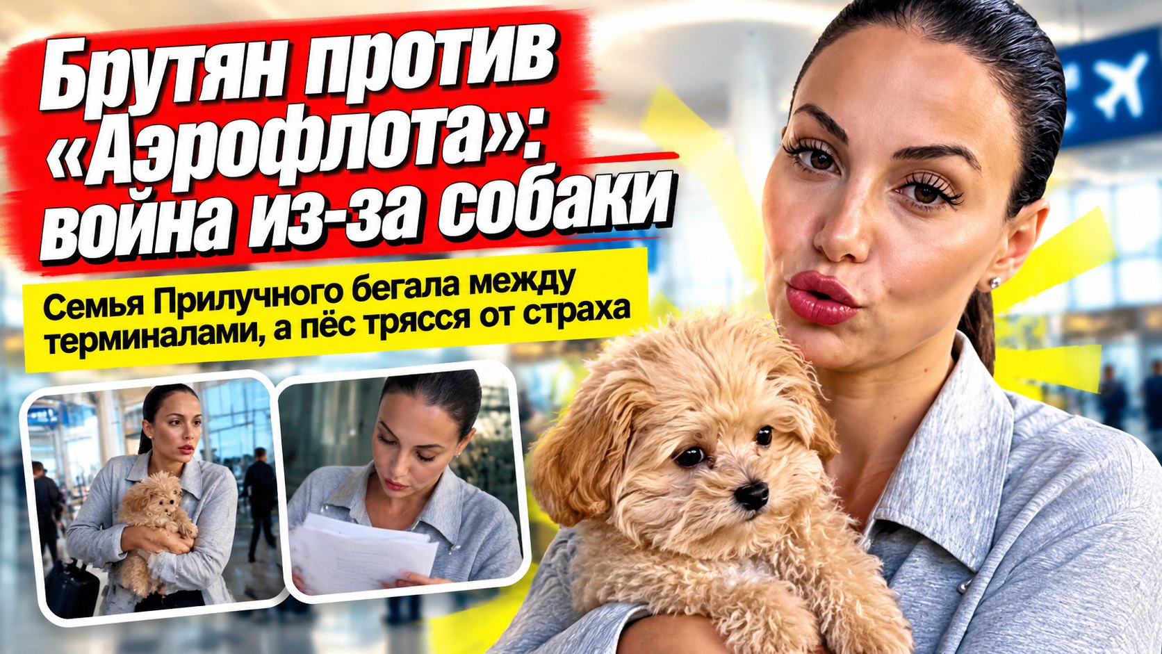 Брутян требует от «Аэрофлота» разбора из-за собаки Шанти — в авиакомпании ссылаются на регламент