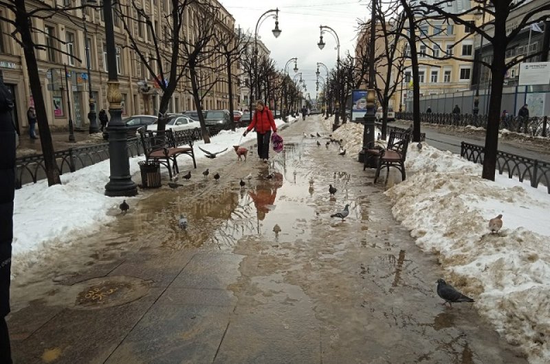 Зимняя оттепель на городской улице