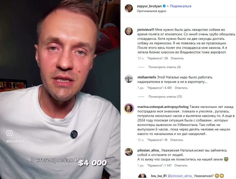 Брутян требует от «Аэрофлота» разбора из-за собаки Шанти — в авиакомпании ссылаются на регламент