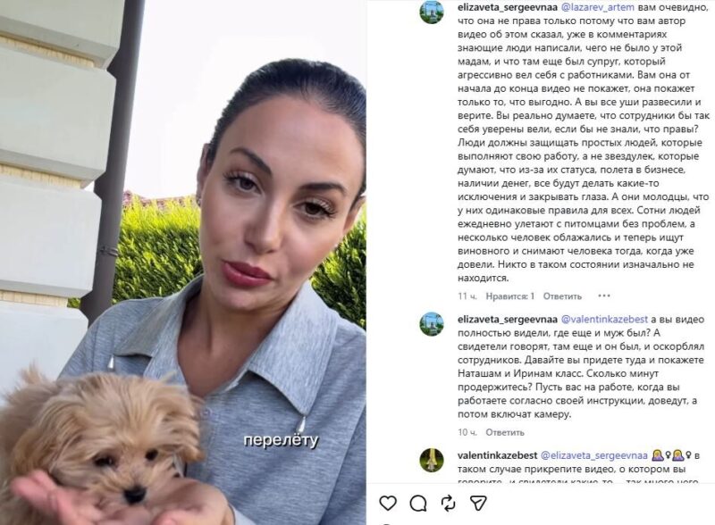 Брутян требует от «Аэрофлота» разбора из-за собаки Шанти — в авиакомпании ссылаются на регламент
