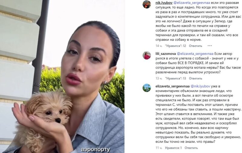 Брутян требует от «Аэрофлота» разбора из-за собаки Шанти — в авиакомпании ссылаются на регламент